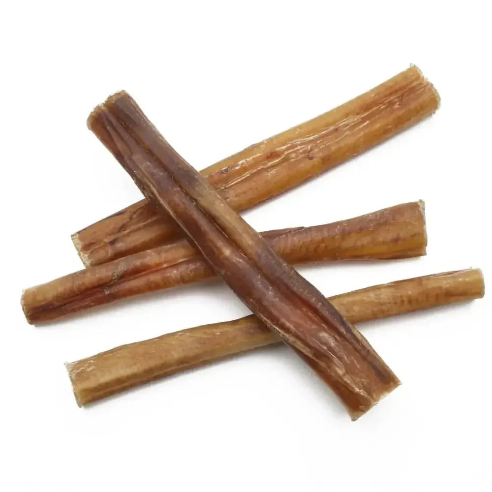 QT Dog Premium Bully Stickz for Healthy Chewing - Talis Us