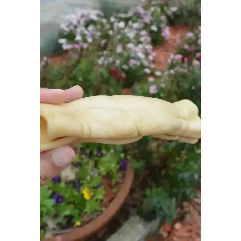 QT Dog Water Buffalo Cheek Rolls Jumbo - Talis Us