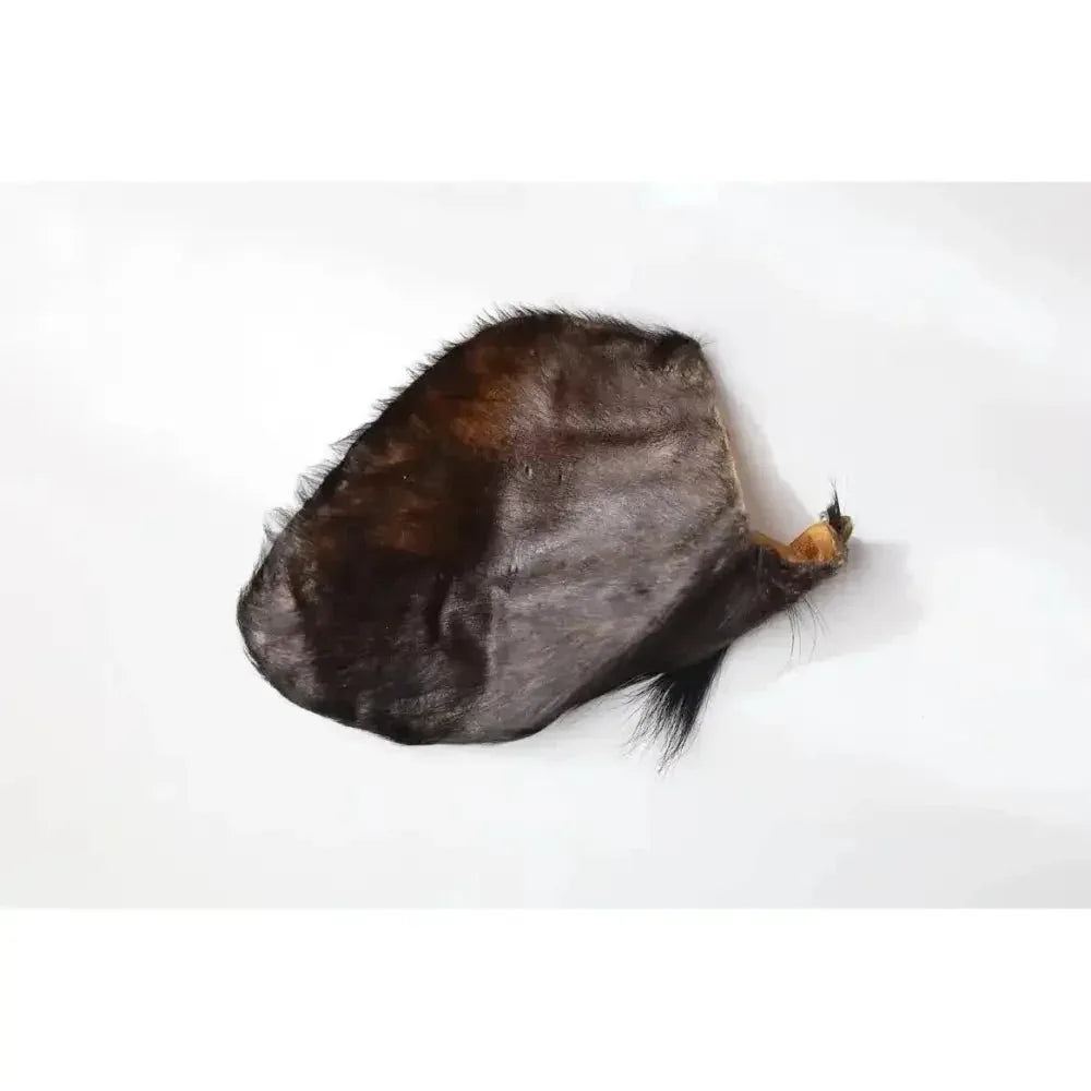 QT Dog Water Buffalo Ears w/ Hair - Talis Us