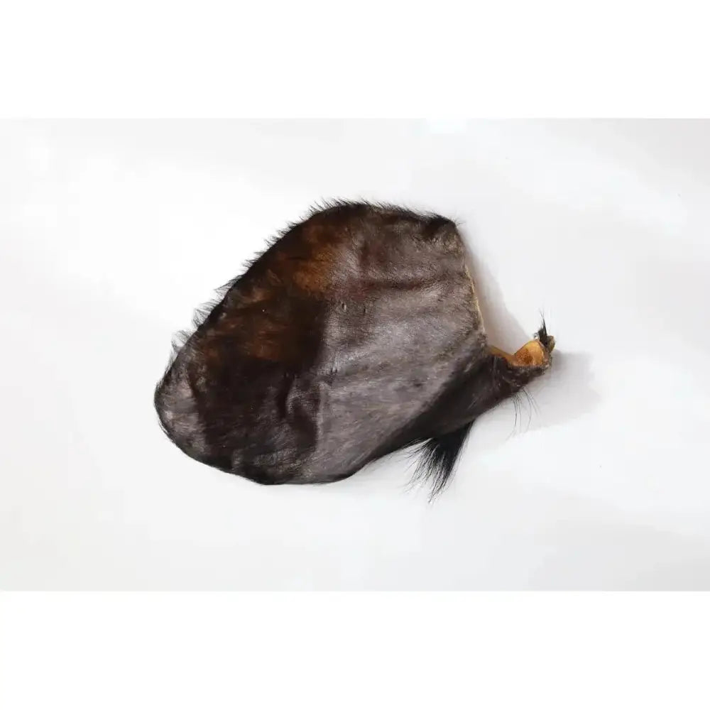 QT Dog Water Buffalo Ears w/ Hair - Talis Us