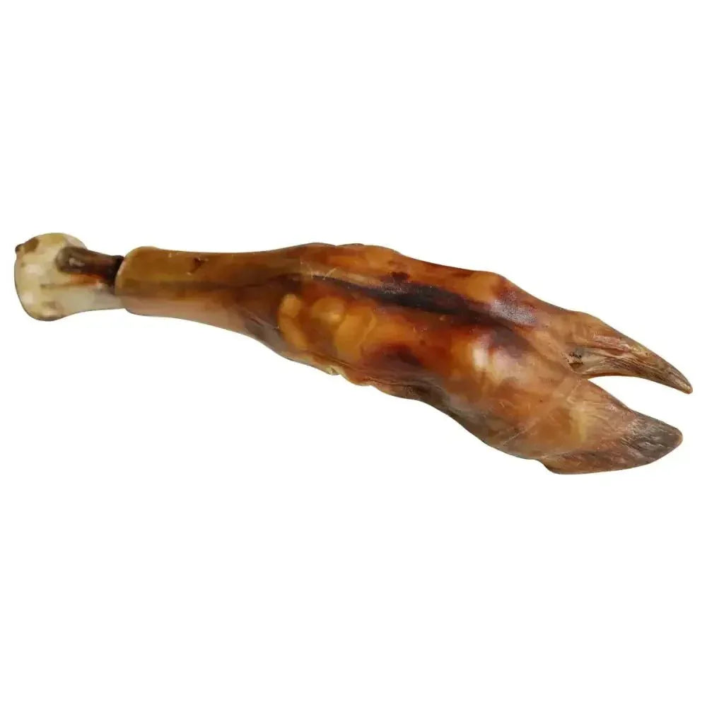 QT Dog Water Buffalo Shin Bone Trotters - Talis Us