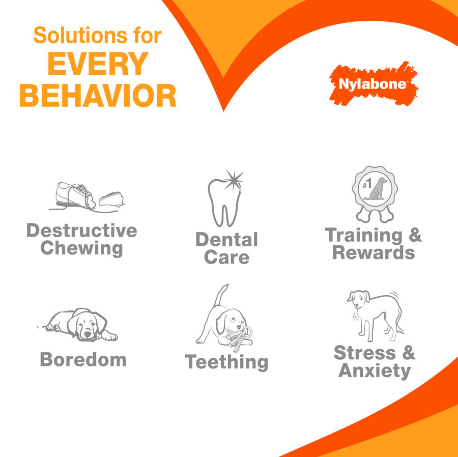 Nylabone infographic showing solutions for destructive chewing, dental care, training, and teething.