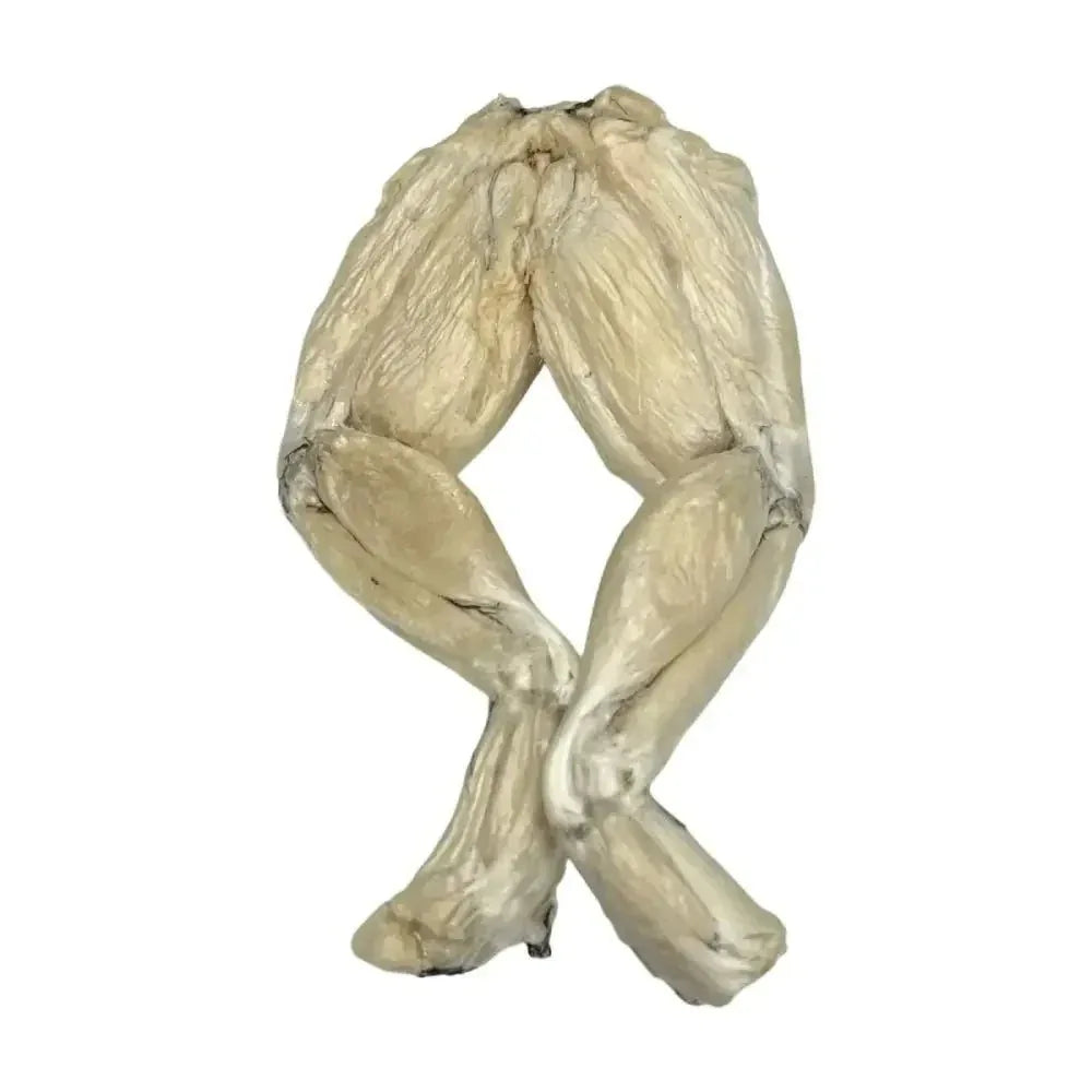 Raw Dog Barkery Frog Legs Freeze - Dried Treats for Dogs and Cats Bulk Per Pound - Talis Us