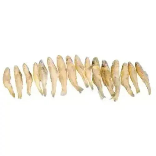 Raw Dog Barkery Minnows Freeze Dried Dog Treats Six pack 1oz packages - Talis Us