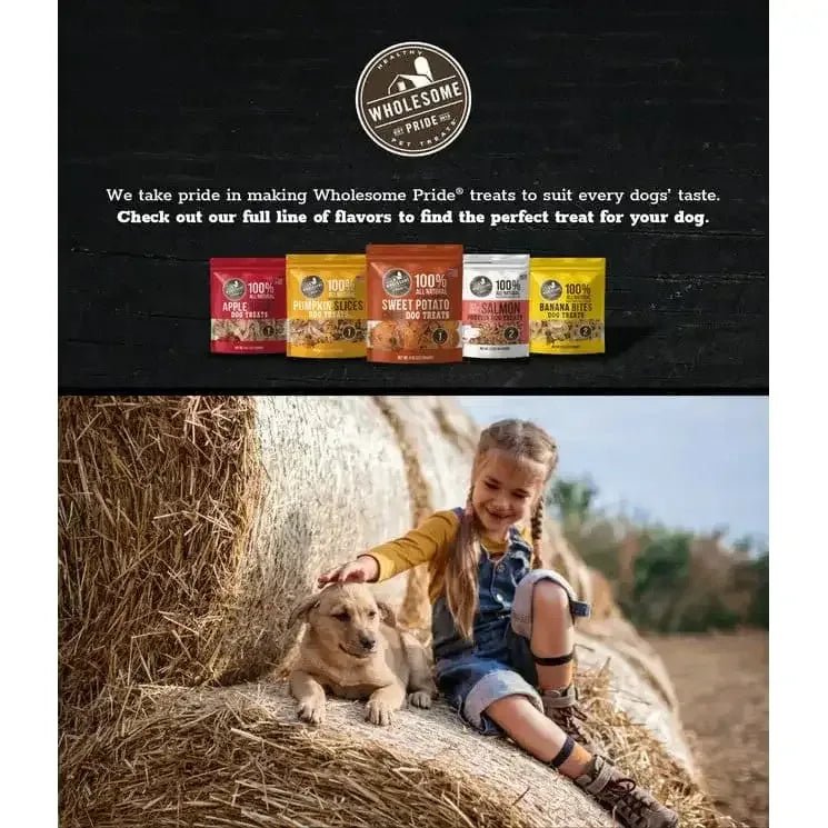 Raw Freeze Dried Beef & Liver Dog Treats, Red, 2.5 Oz - Talis Us