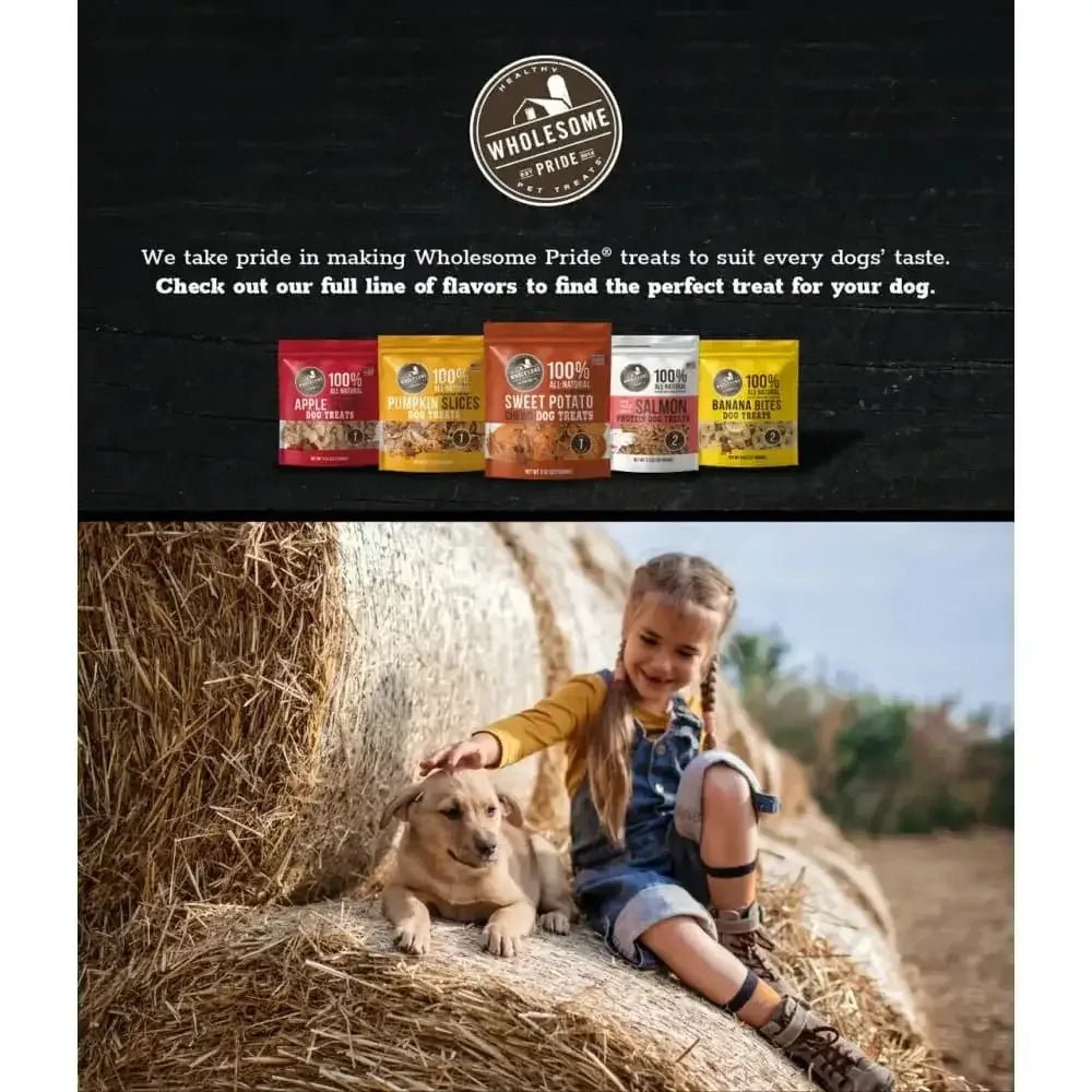 Raw Freeze Dried Salmon Dog Treats, Pink, 2.3 Oz - Talis Us