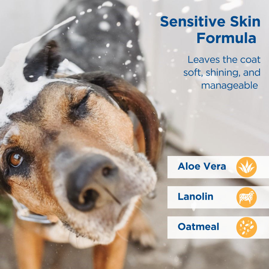 A dog being bathed with Zodiac Oatmeal Dog Shampoo featuring Aloe Vera, Lanolin, and Oatmeal.