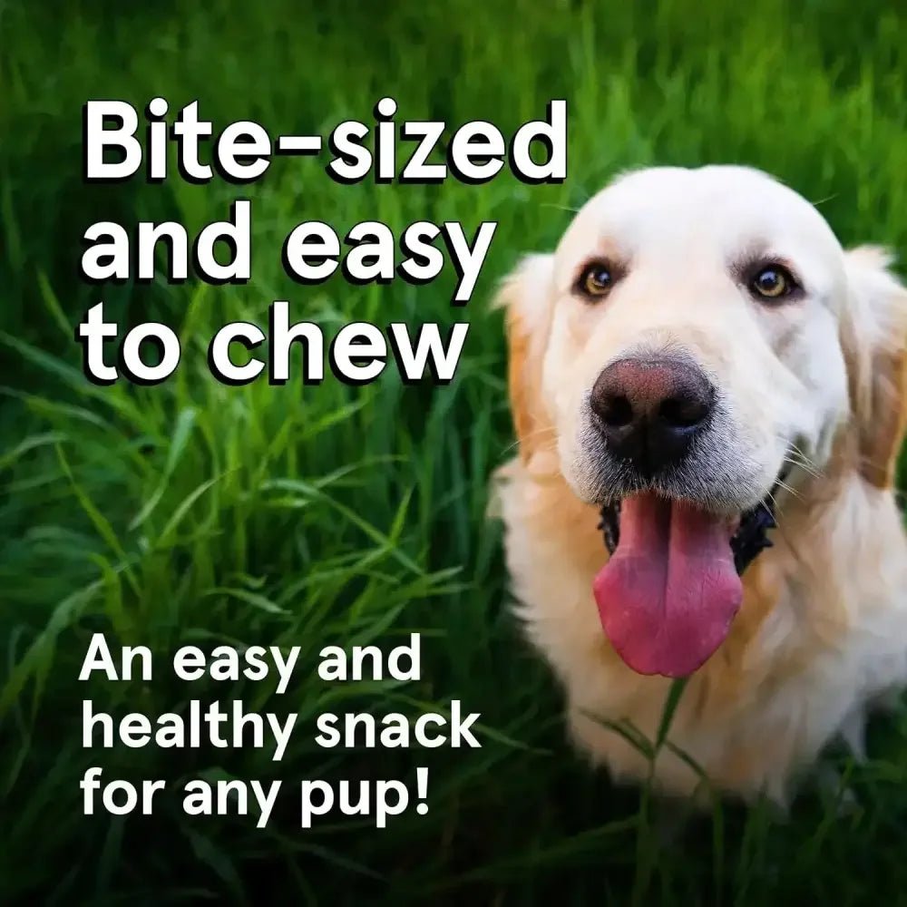 Real Meat® Lamb & Lamb Liver Jerky Dog Treat - Talis Us