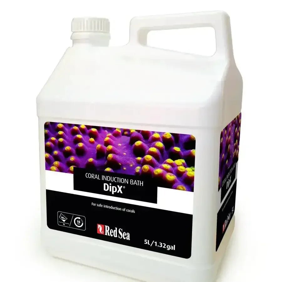 Red Sea DipX Coral Induction Bath - Talis Us