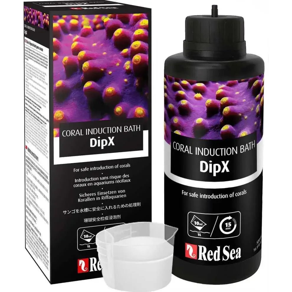 Red Sea DipX Coral Induction Bath - Talis Us