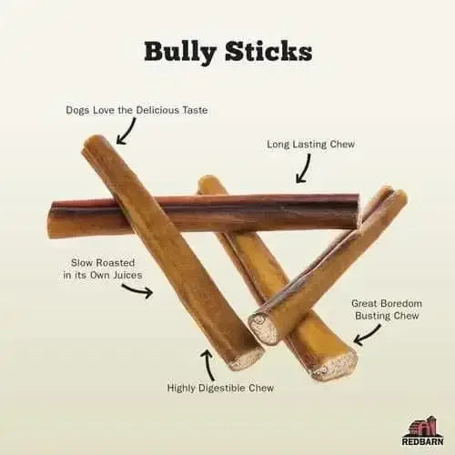Redbarn Odor Free Bully Stick for Dogs, a highly digestible and long lasting chew treat
