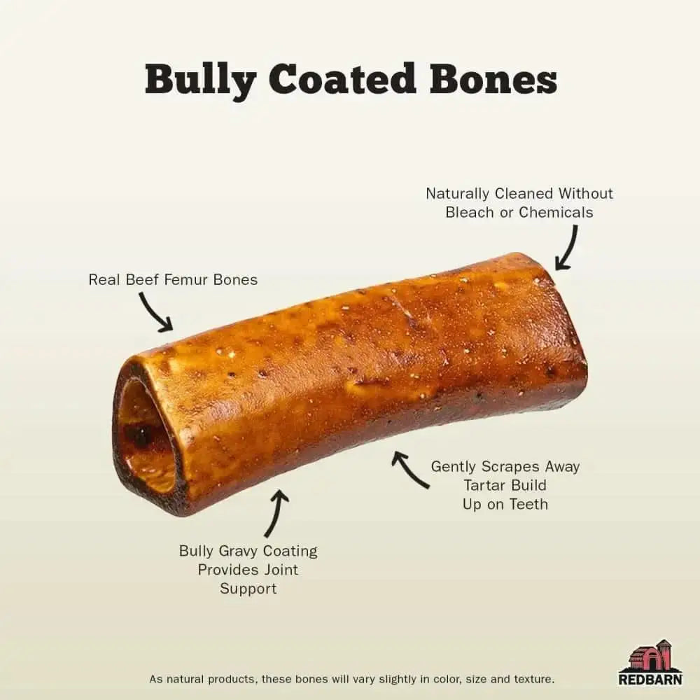 Redbarn Pet Products Bully Coated Bone Dog Chew 1ea/Large, 5 oz Redbarn