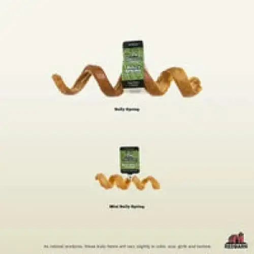 Redbarn Pet Products Bully Springs Dog Treat Redbarn