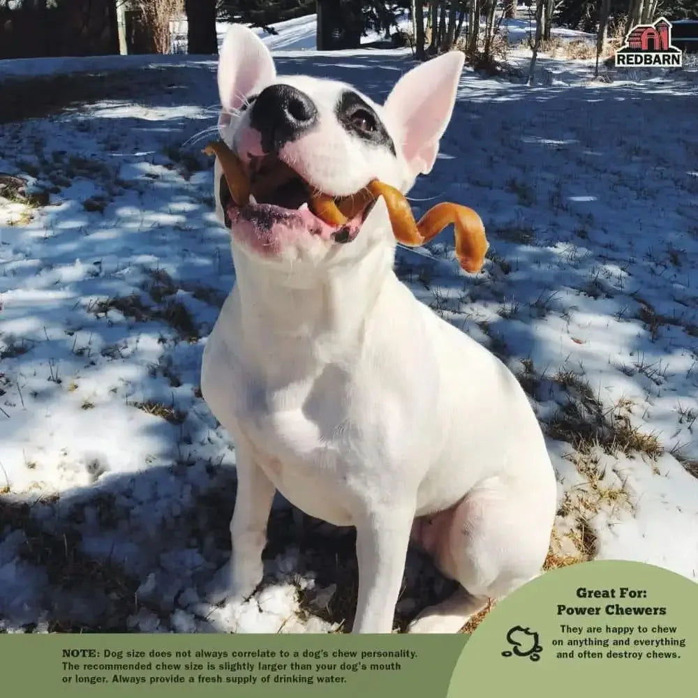 Redbarn Pet Products Bully Springs Dog Treat Redbarn