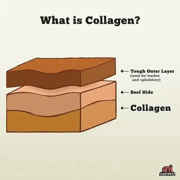 Redbarn Pet Products Collagen Braid Dog Treat - Talis Us