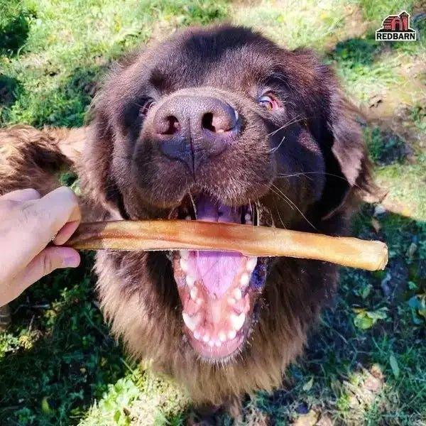 Redbarn Pet Products Collagen Sticks Dog Treat 30 in, 25 ct - Talis Us