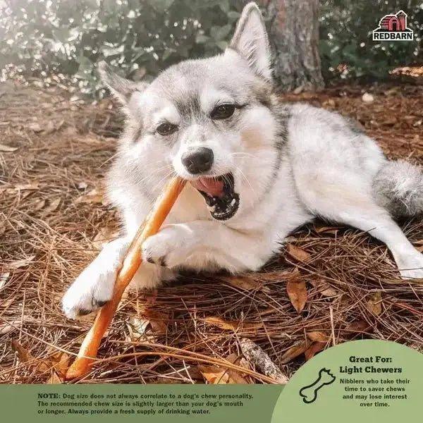 Redbarn Pet Products Collagen Sticks Dog Treat 30 in, 25 ct - Talis Us