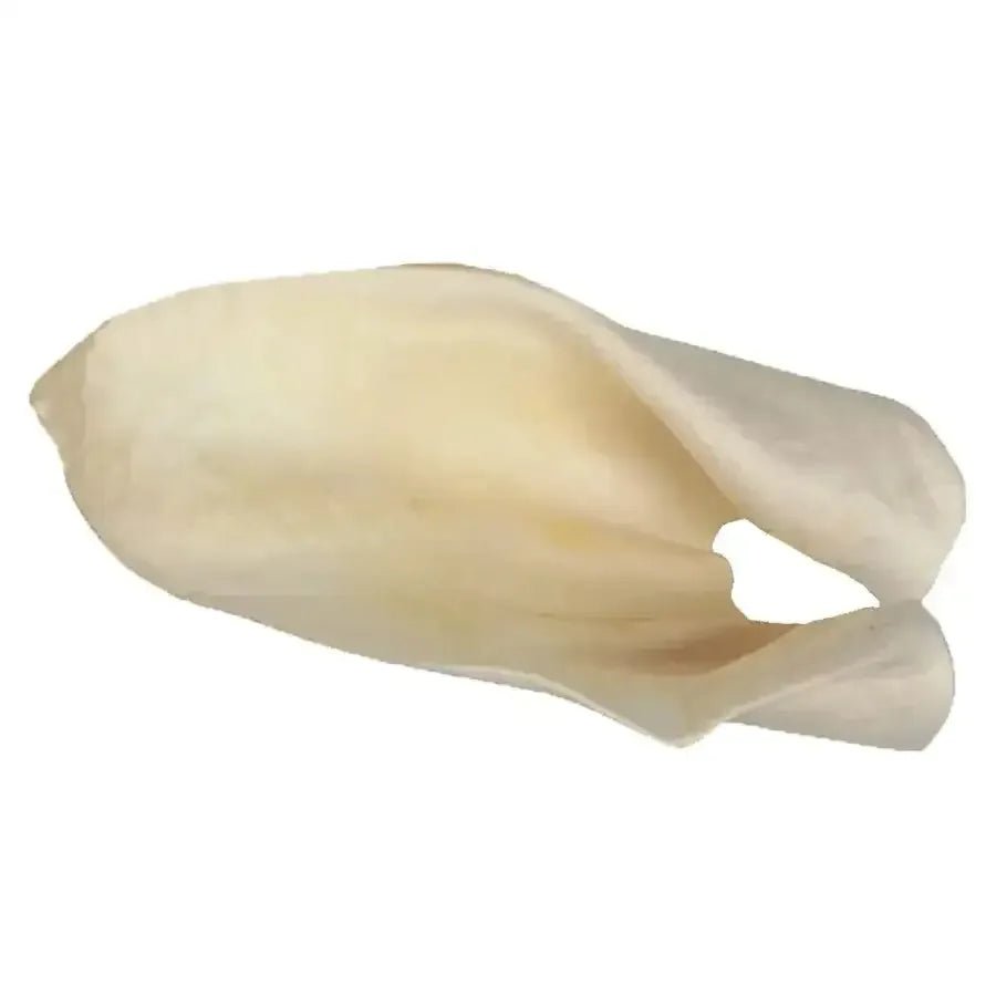 Redbarn Pet Products Cow Ears Dog Chew 100 ct - Talis Us