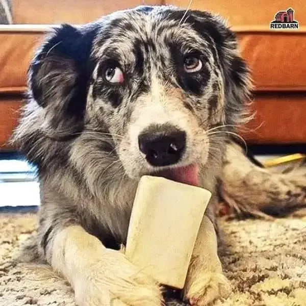 Redbarn Pet Products Filled Bone Natural Chicken & Apple Dog Treat Redbarn