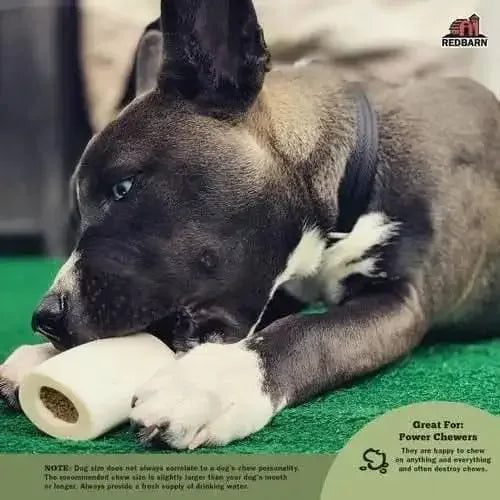 Redbarn Pet Products Filled Bone Natural Peanut Butter Dog Treat Redbarn
