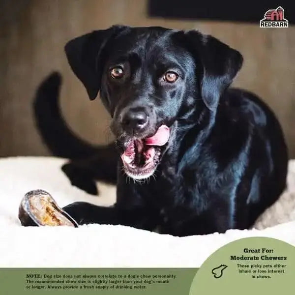 Redbarn Pet Products Filled Hooves Beef Dog Treat 1.8 oz Redbarn