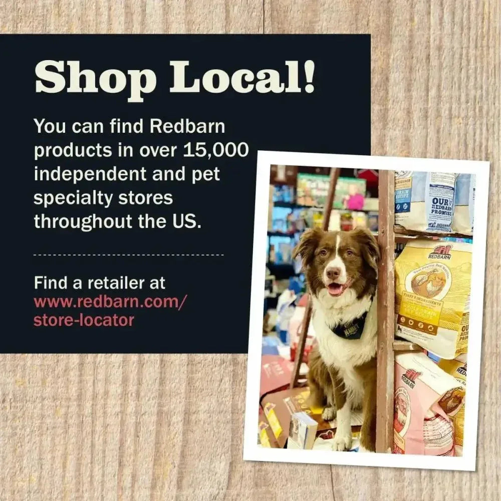 Redbarn Pet Products Hearty Stew All Life Stages Lamb & Carrot Wet Dog Food - Talis Us