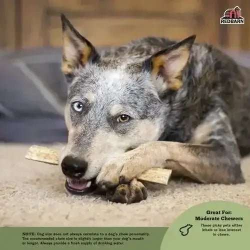Redbarn Pet Products Moose Antler Dog Chew 12 ct - Talis Us