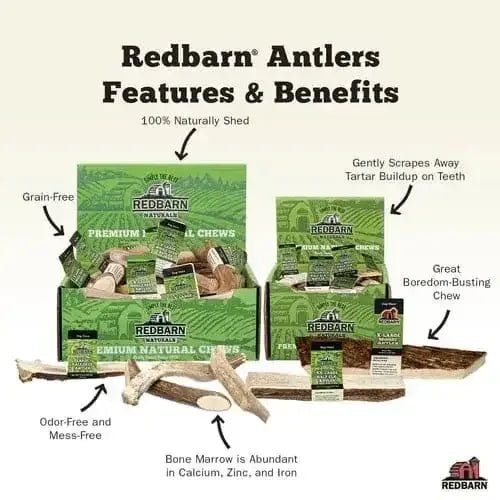 Redbarn Pet Products Moose Antler Dog Chew 12 ct - Talis Us