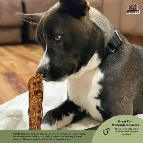 Redbarn Pet Products Natural Bully Slices Vanilla Flavor Dog Treats 9 oz Redbarn