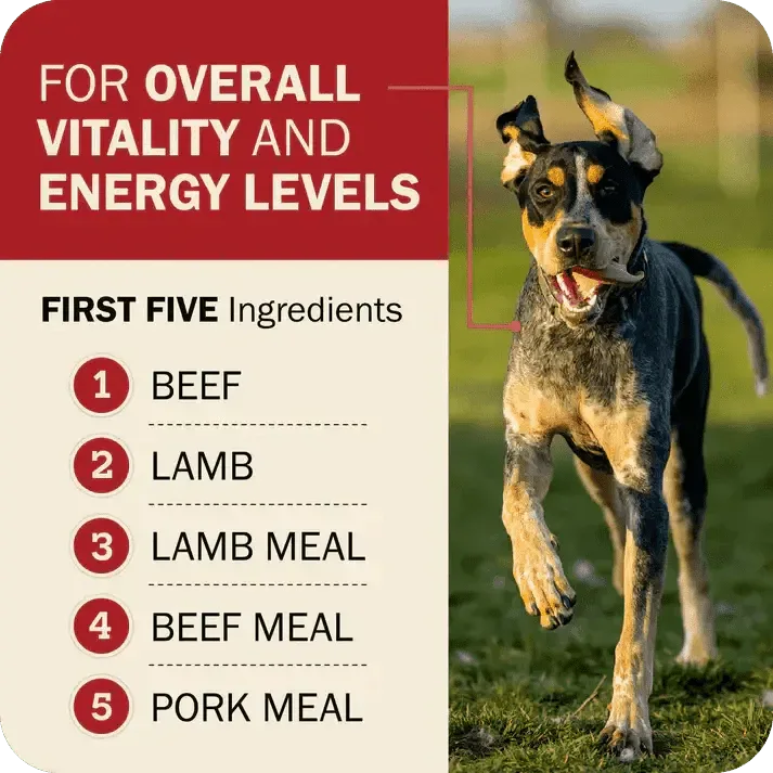 Redbarn Pet Products Powerfood Fusion Grain - Free Land Mix Dry Dog Food - Talis Us