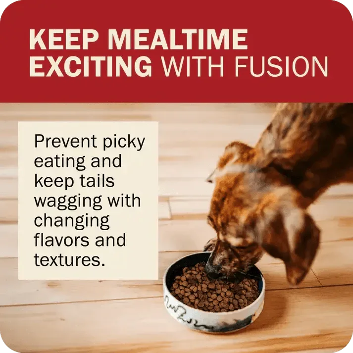 Redbarn Pet Products Powerfood Fusion Grain - Free Land Mix Dry Dog Food - Talis Us