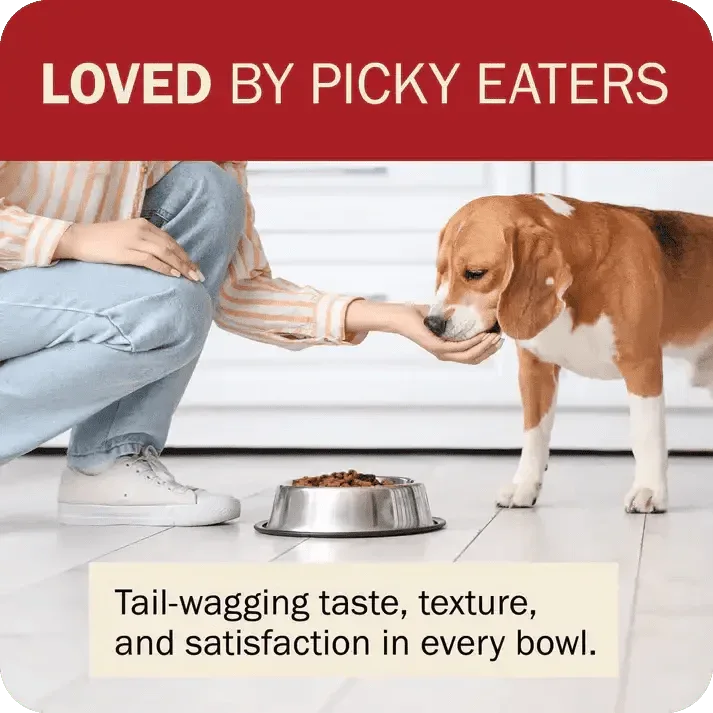 Redbarn Pet Products Powerfood Fusion Grain - Free Land Mix Dry Dog Food - Talis Us