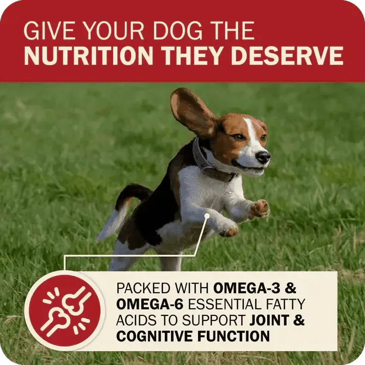 Redbarn Pet Products Powerfood Fusion Grain - Free Land Mix Dry Dog Food - Talis Us