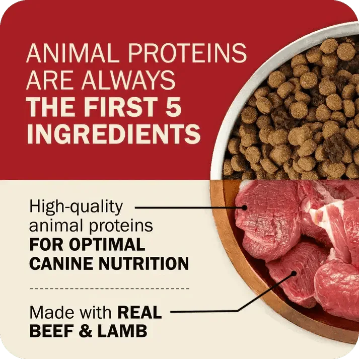 Redbarn Pet Products Powerfood Fusion Grain - Free Land Mix Dry Dog Food - Talis Us