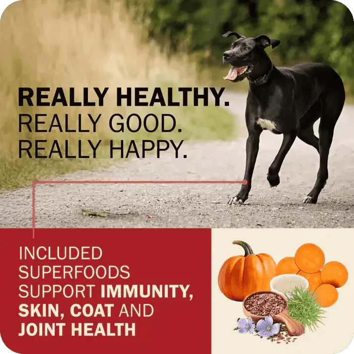 Redbarn Pet Products Powerfood Fusion Grain - Free Land Mix Dry Dog Food - Talis Us