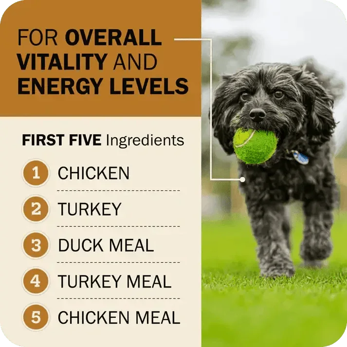 Redbarn Pet Products Powerfood Fusion Grain - Free Sky Mix Dry Dog Food - Talis Us