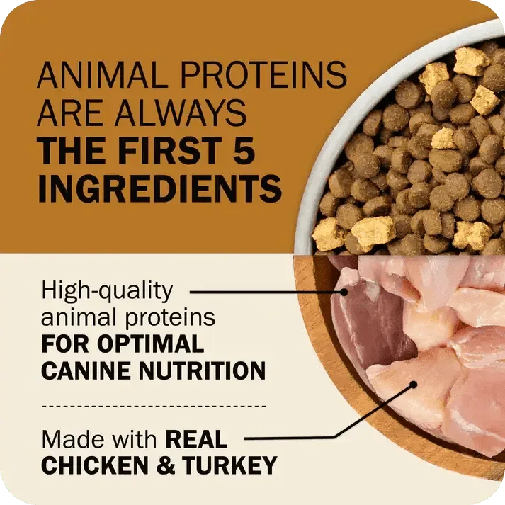 Redbarn Pet Products Powerfood Fusion Grain - Free Sky Mix Dry Dog Food - Talis Us