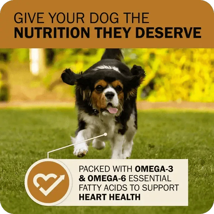 Redbarn Pet Products Powerfood Fusion Grain - Free Sky Mix Dry Dog Food - Talis Us