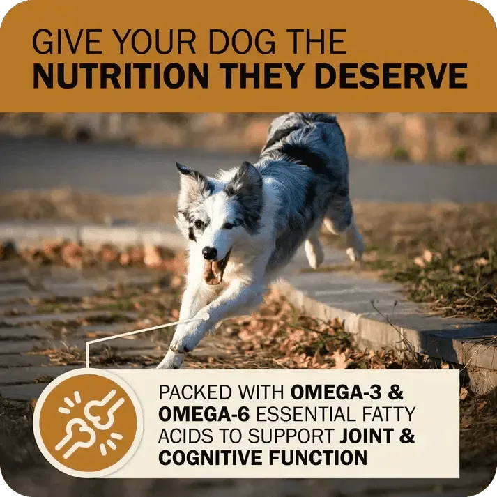 Redbarn Pet Products Powerfood Fusion Grain - Free Sky Mix Dry Dog Food - Talis Us