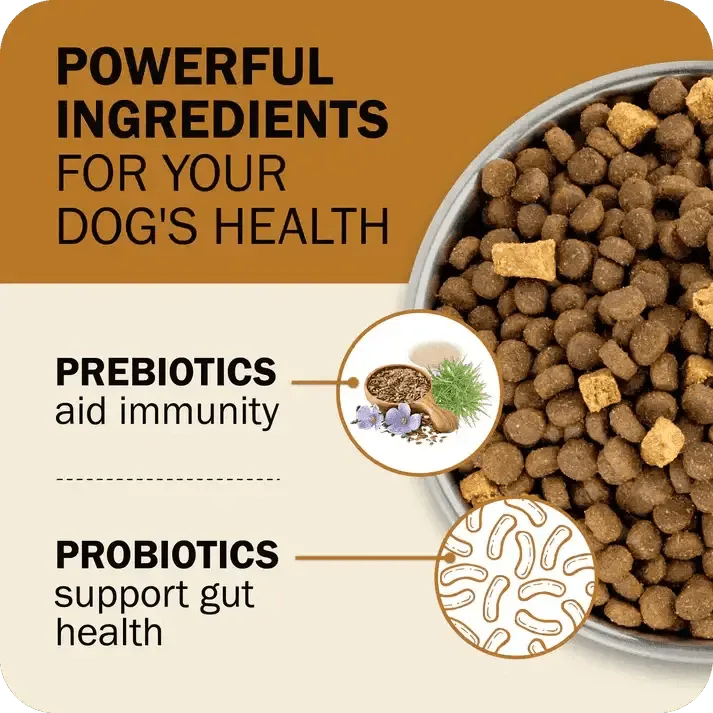 Redbarn Pet Products Powerfood Fusion Grain - Free Sky Mix Dry Dog Food - Talis Us