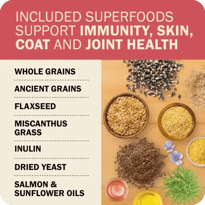 Redbarn Pet Products Powerfood Fusion Whole Grain Land Mix Beef Recipe Dry Dog Food - Talis Us