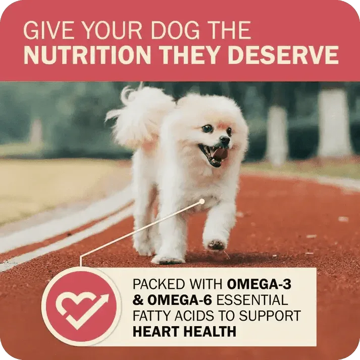 Redbarn Pet Products Powerfood Fusion Whole Grain Land Mix Beef Recipe Dry Dog Food - Talis Us
