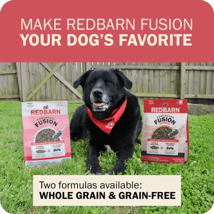 Redbarn Pet Products Powerfood Fusion Whole Grain Land Mix Beef Recipe Dry Dog Food - Talis Us