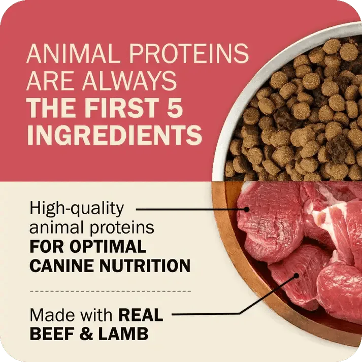 Redbarn Pet Products Powerfood Fusion Whole Grain Land Mix Beef Recipe Dry Dog Food - Talis Us