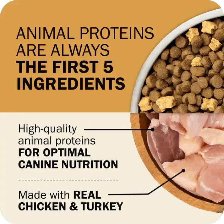 Redbarn Pet Products Powerfood Fusion Whole Grain Sky Mix Chicken Recipe Dry Dog Food - Talis Us