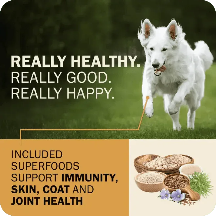 Redbarn Pet Products Powerfood Fusion Whole Grain Sky Mix Chicken Recipe Dry Dog Food - Talis Us