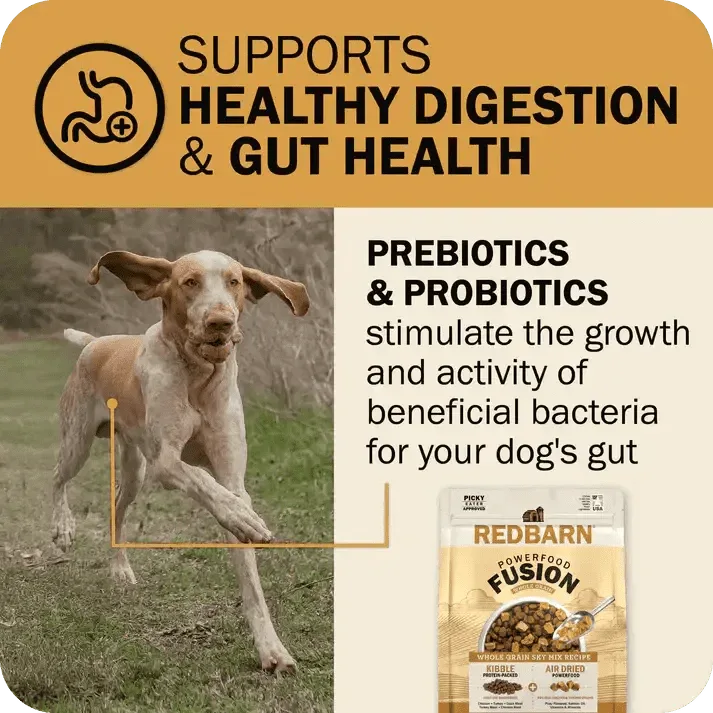Redbarn Pet Products Powerfood Fusion Whole Grain Sky Mix Chicken Recipe Dry Dog Food - Talis Us