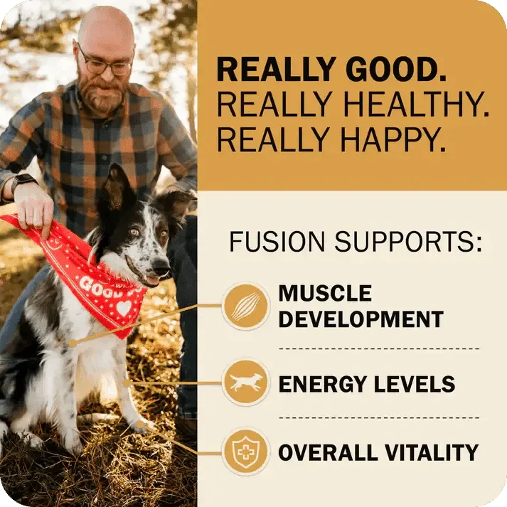 Redbarn Pet Products Powerfood Fusion Whole Grain Sky Mix Chicken Recipe Dry Dog Food - Talis Us