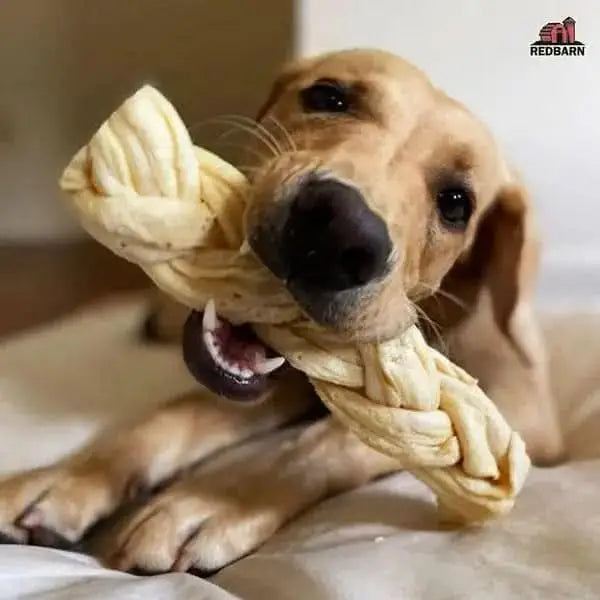 Redbarn Pet Products Puff Braid Dog Treat Redbarn