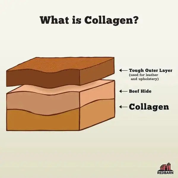 Redbarn Pet Products Puffed Collagen Ring Dog Treats 20ea/3 in Redbarn